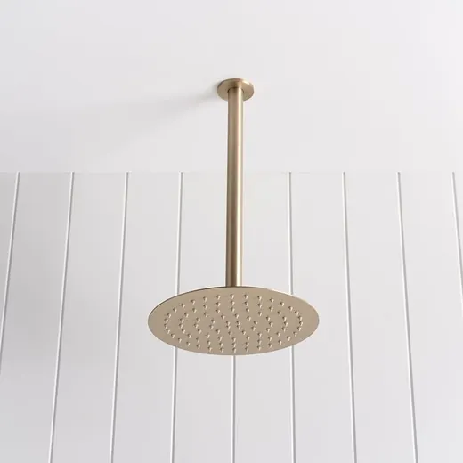 Ceiling shower arm and head, warm brushed nickel